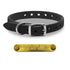 1/2" D Ring Leather Small Dog & Puppy Collar