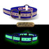 1" Glow In The Dark Premium Glow Tuff Center Ring Collar with Brass Name Plate- Limited Edition