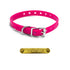 1/2" Premium Glow Tuff D Ring Collar for Small Dogs