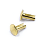 Brass Plated Split Rivets