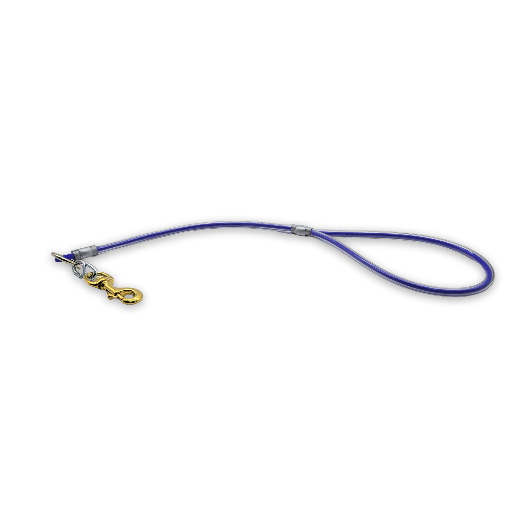 2 ft Cable Bully Leash