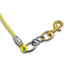 2 ft Cable Bully Leash