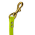 2 ft DayGlo Flat Leash