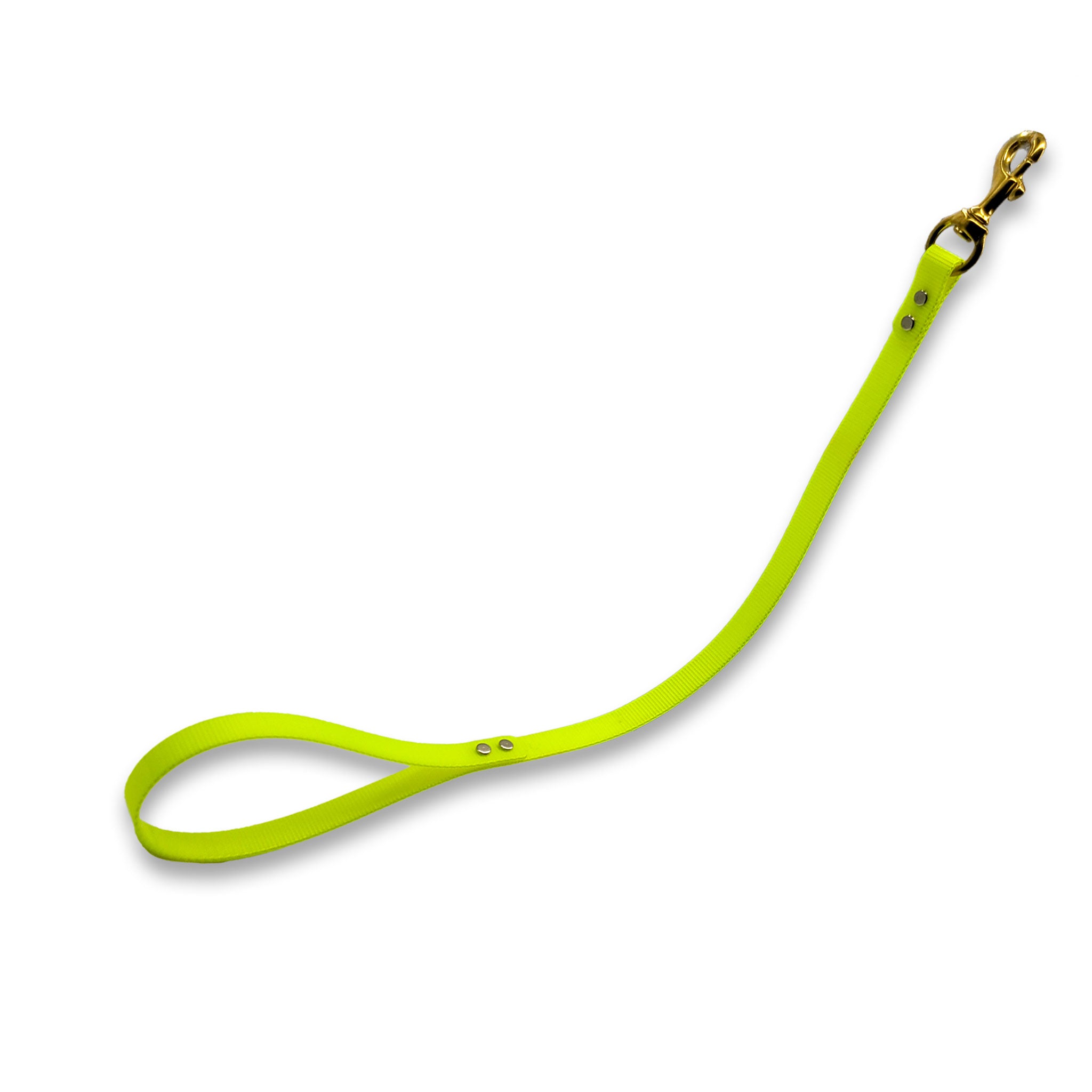 2 ft DayGlo Flat Leash