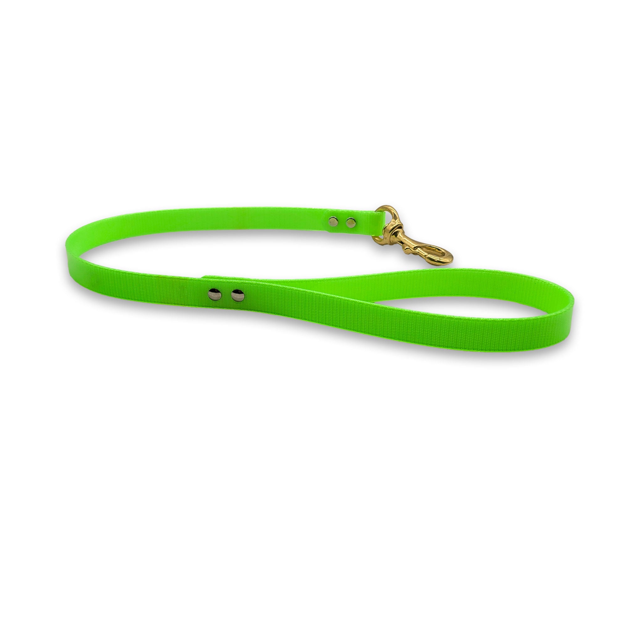 2 ft DayGlo Flat Leash