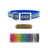 3/4" Reflective Premium Glow Tuff D Ring Dog Collar