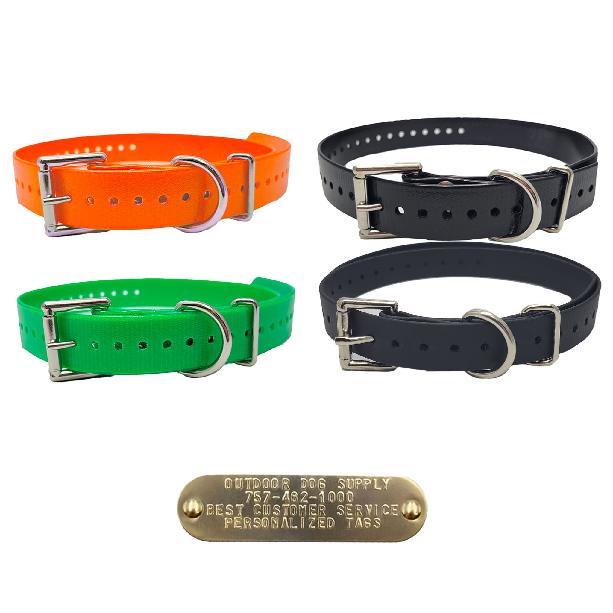 1" Double Buckle Dog Collar with 3/4″ Brass Name Plate