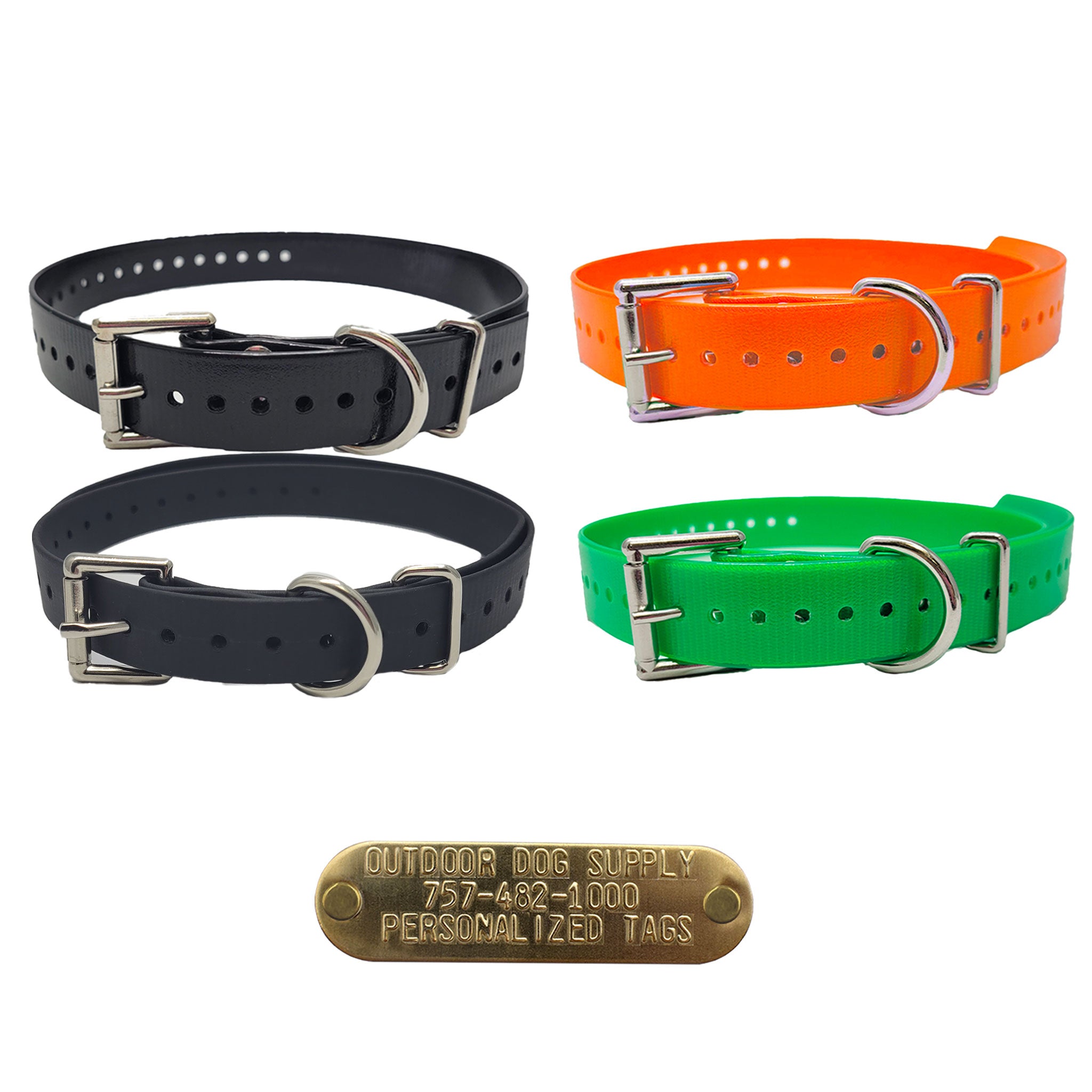 3/4" Double Buckle Dog Collar with Brass Name Plate