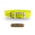 3/4" Solid Premium Glow Tuff D Ring Dog Collar