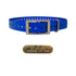 3/4" Basic Dog Collar with Brass Name Plate