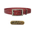 3/4" Basic Dog Collar with Brass Name Plate