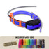 Dogtra Pathfinder TRX (GPS-Only) Additional Collar