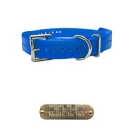 3/4" Double Buckle Dog Collar with Brass Name Plate