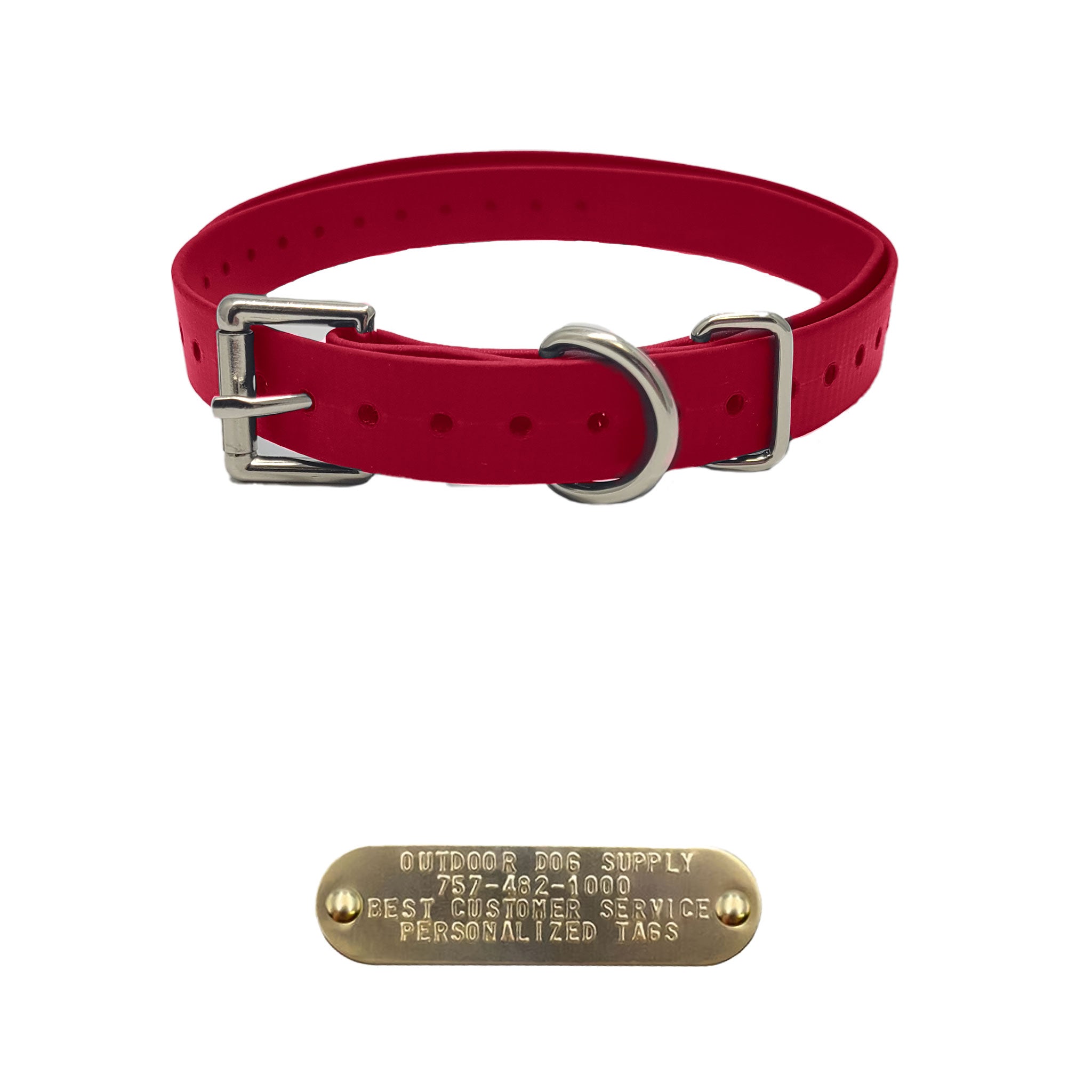 1" Double Buckle Dog Collar with 3/4″ Brass Name Plate