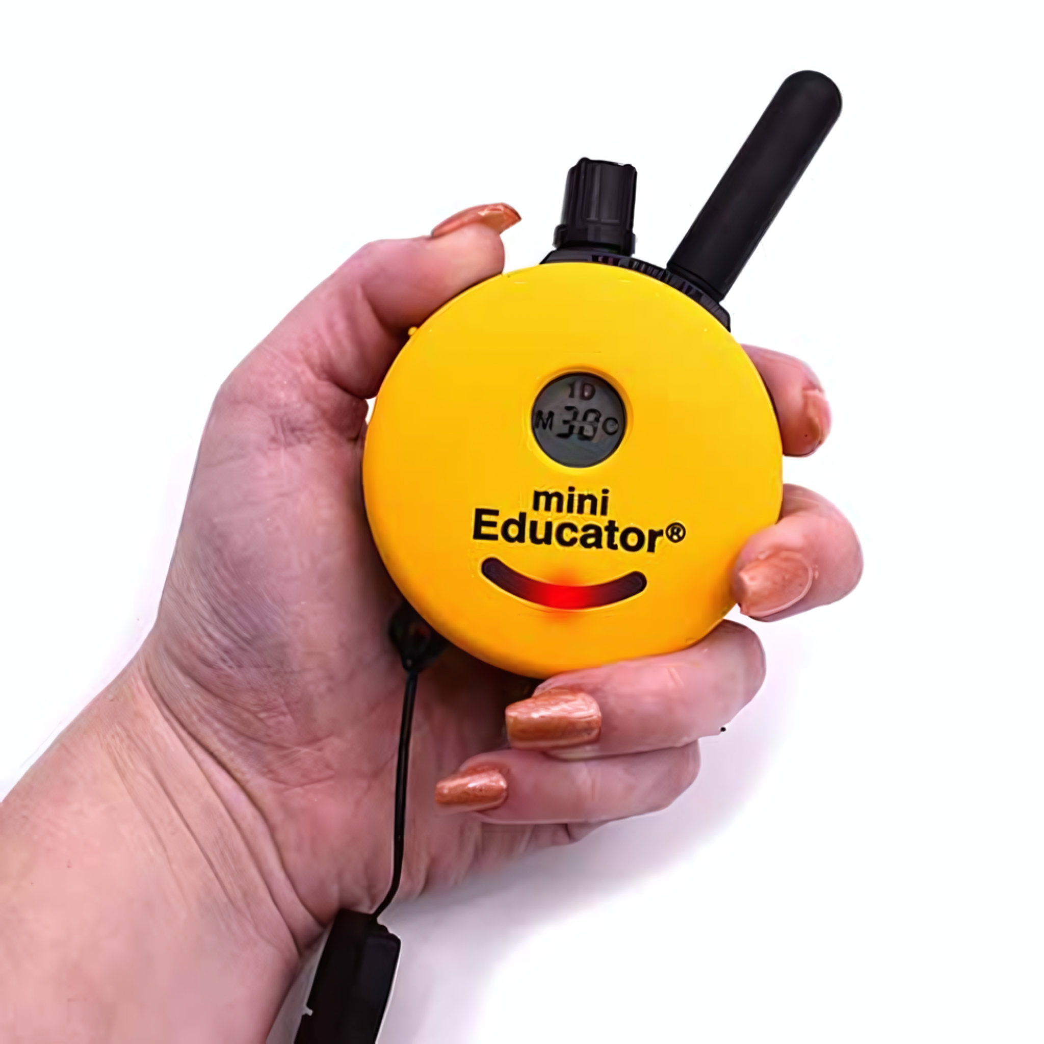 ET-300 Mini Educator E-Collar Remote Trainer Combo