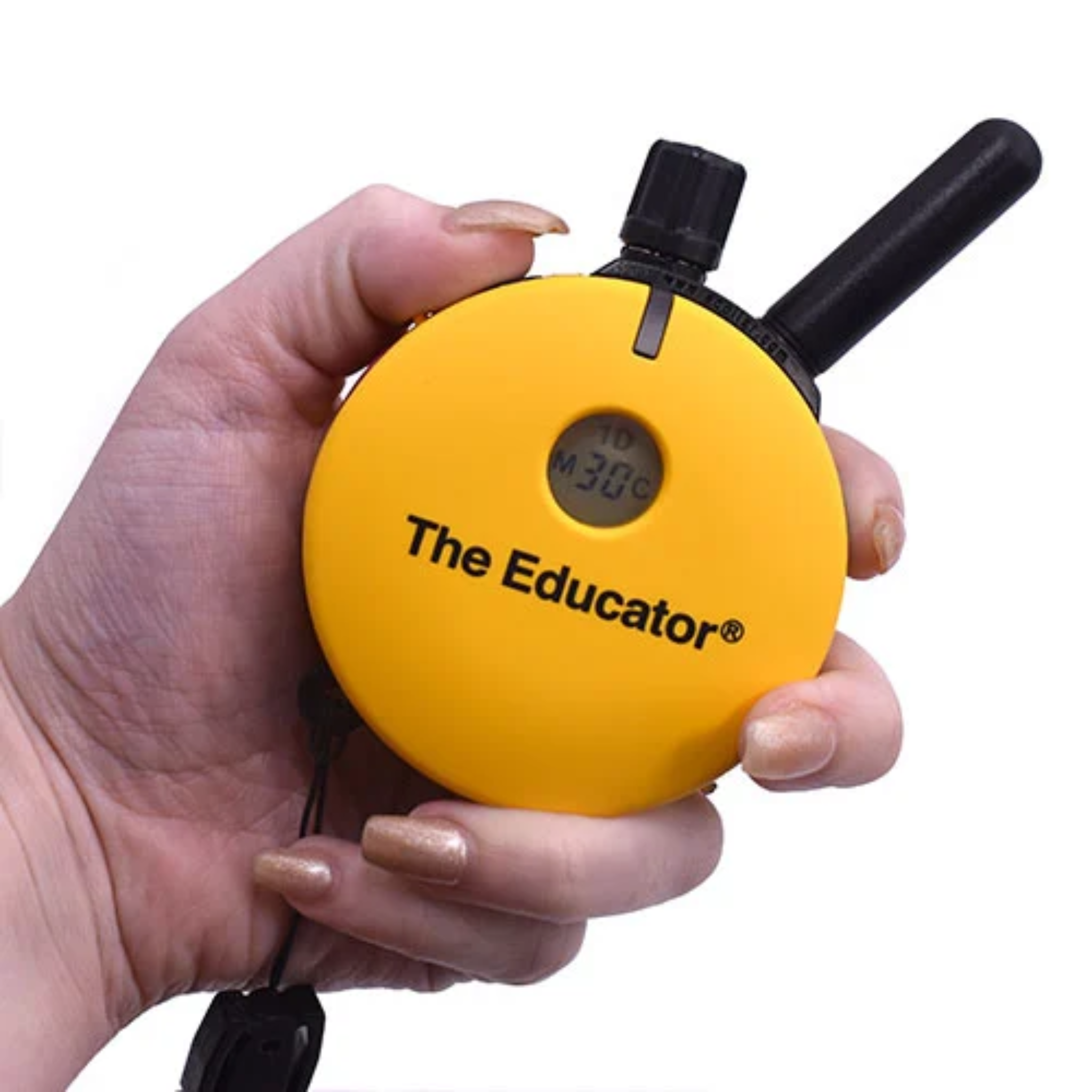 ET-402 Educator E-Collar Remote Trainer 2 Dog Combo