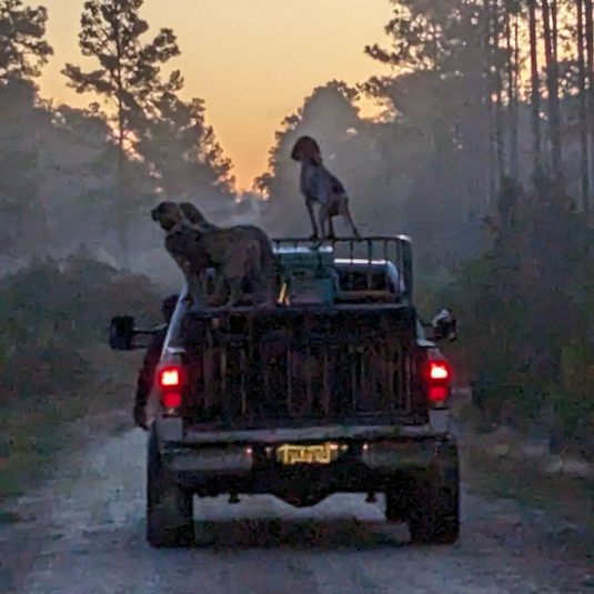 Garmin Alpha Truck Antennas