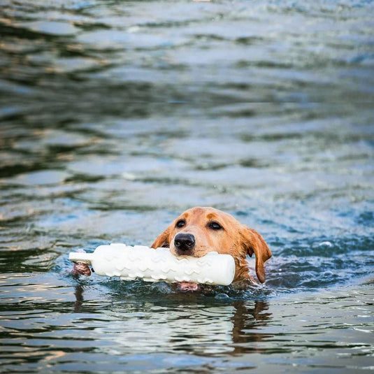 Water Dogs