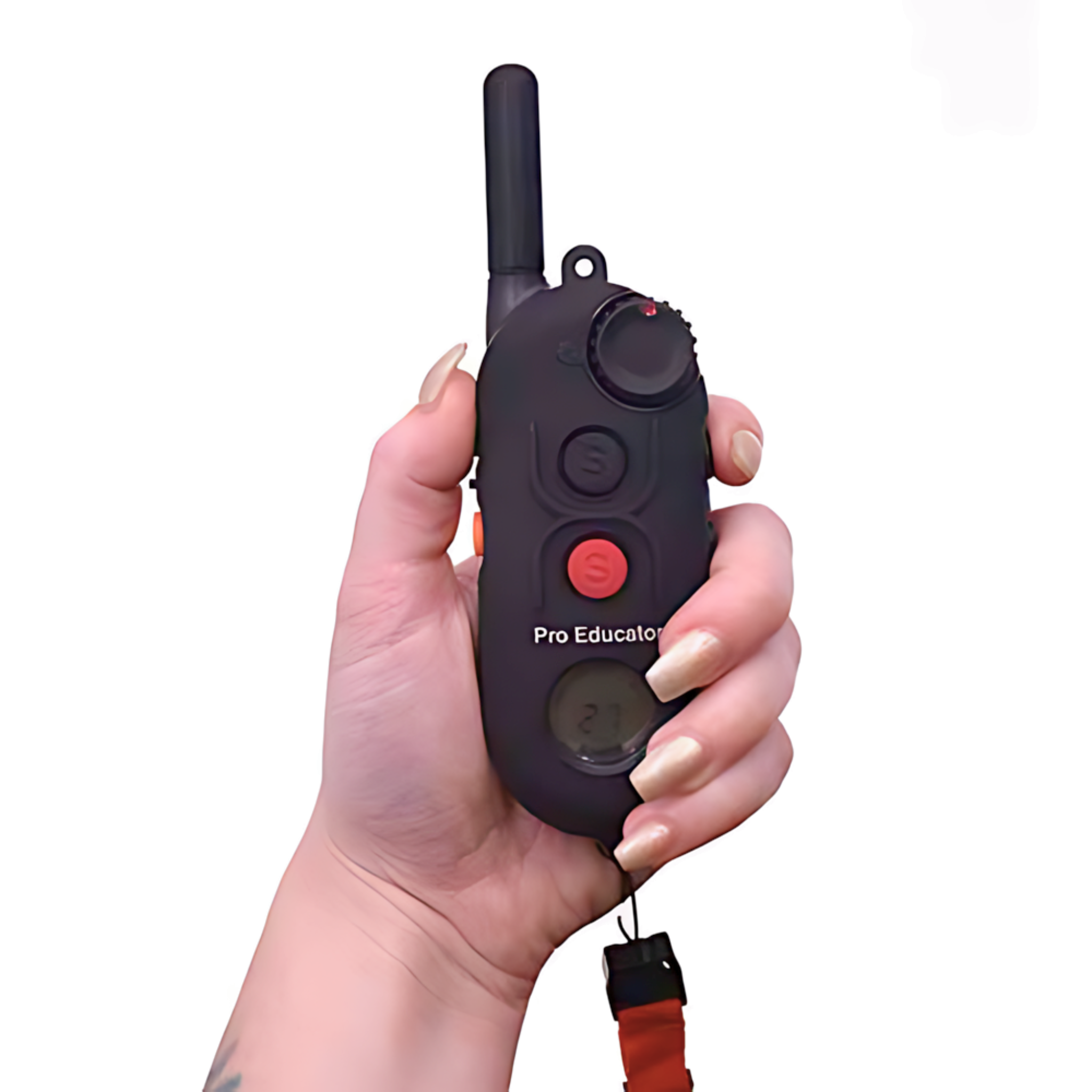 PE-900 Pro Educator E-Collar Remote Trainer Combo