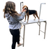 Portable Dog Paint Table