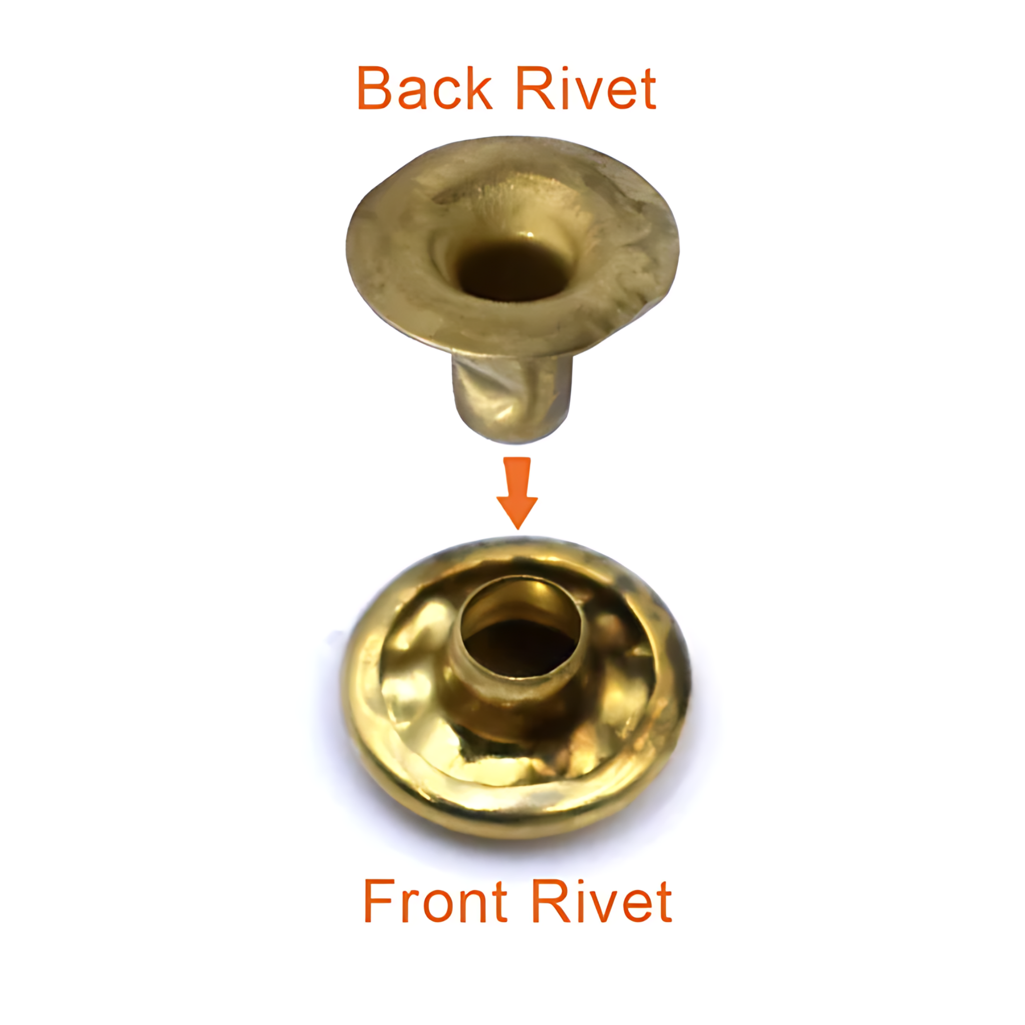 Brass Plated Snap Rivets