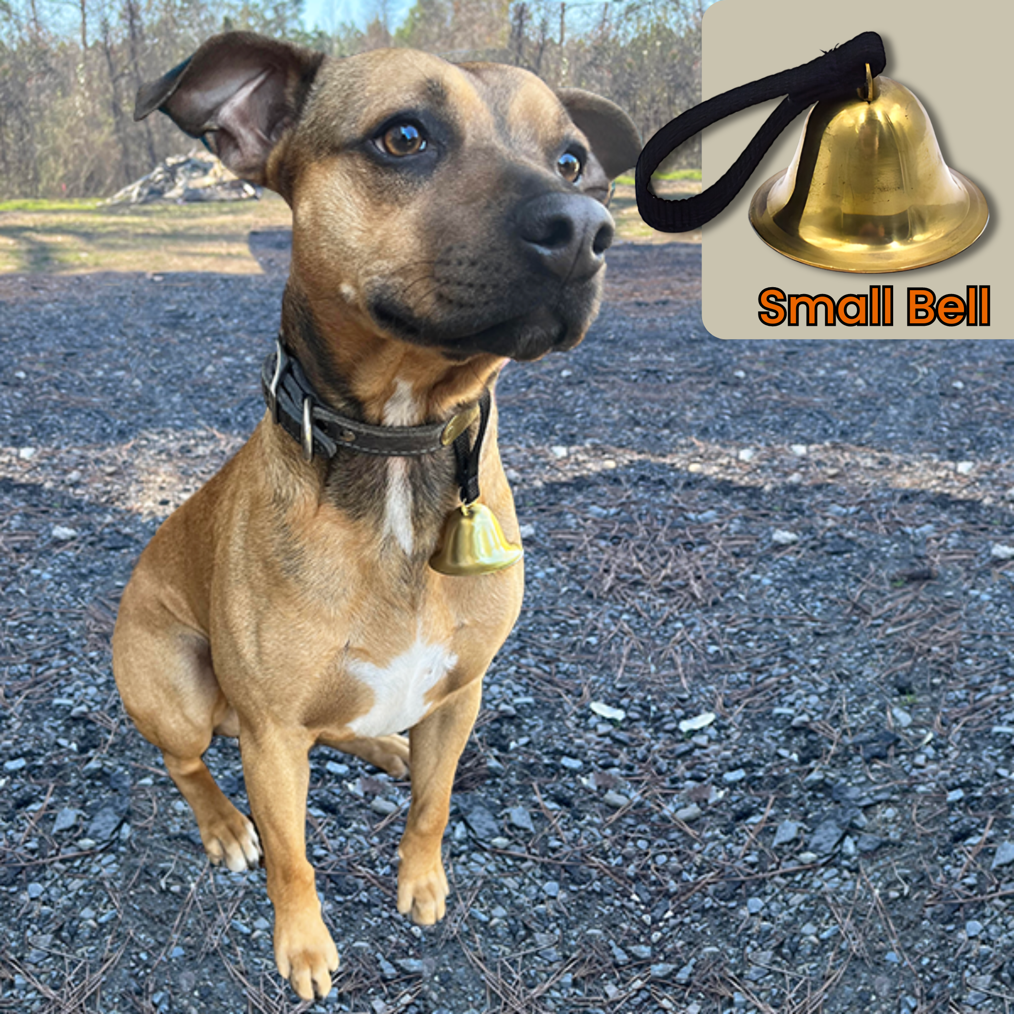 Sportsman Brass Dog Collar Bell