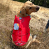 Surf N Turf Dog Life Jacket