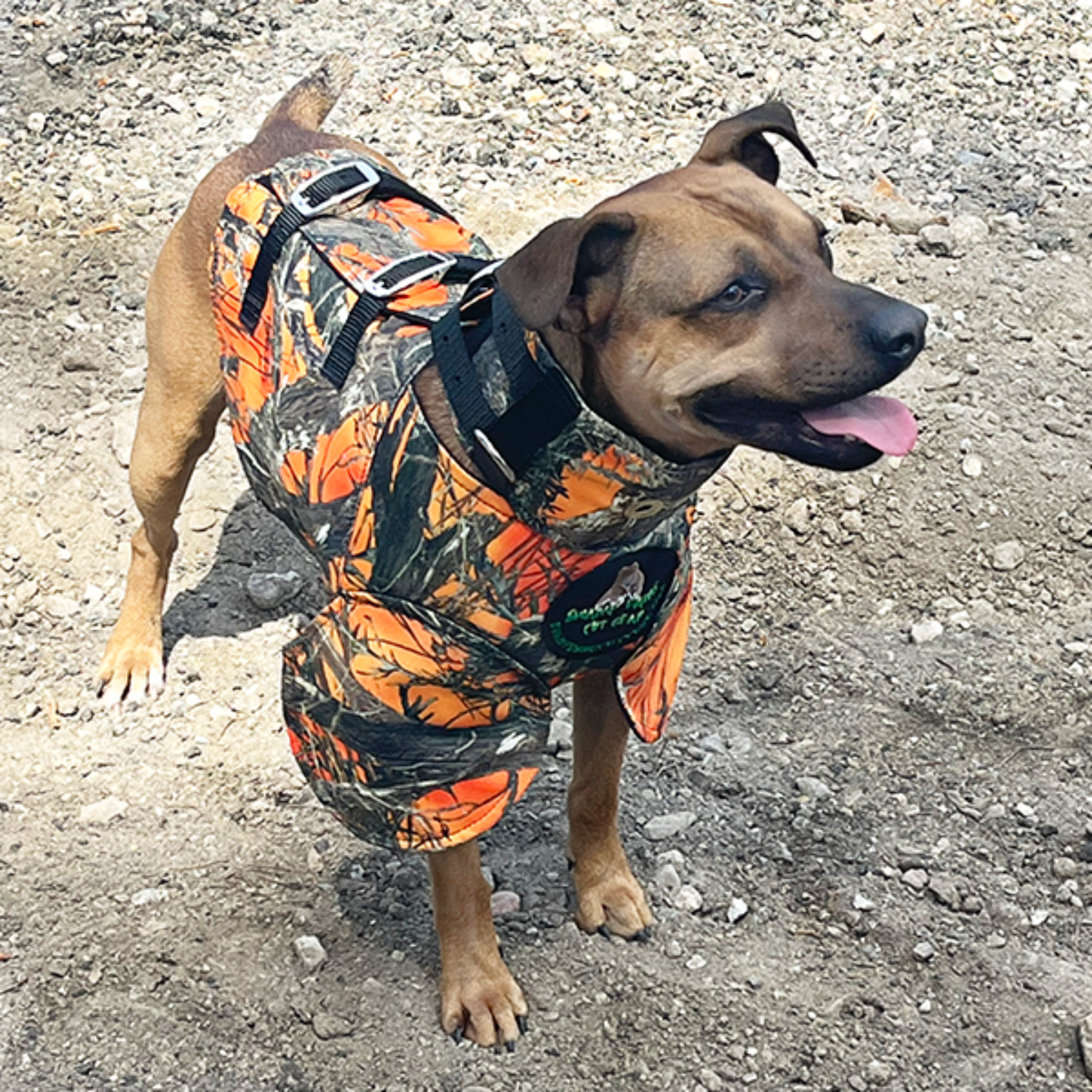 Swamp Dawg Super Suit Catch Vest