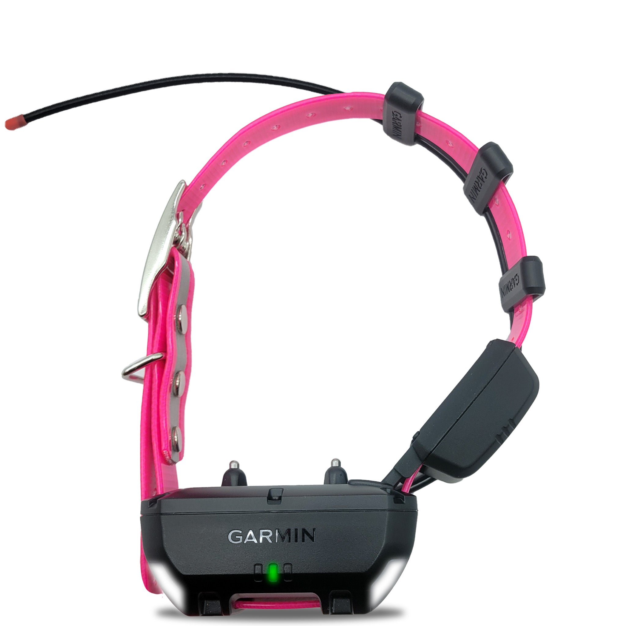 Garmin TT25 Tracking and Training Collar with Short Flex Band