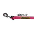 6 ft Carnival Color Dog Leash with Custom Name Plate