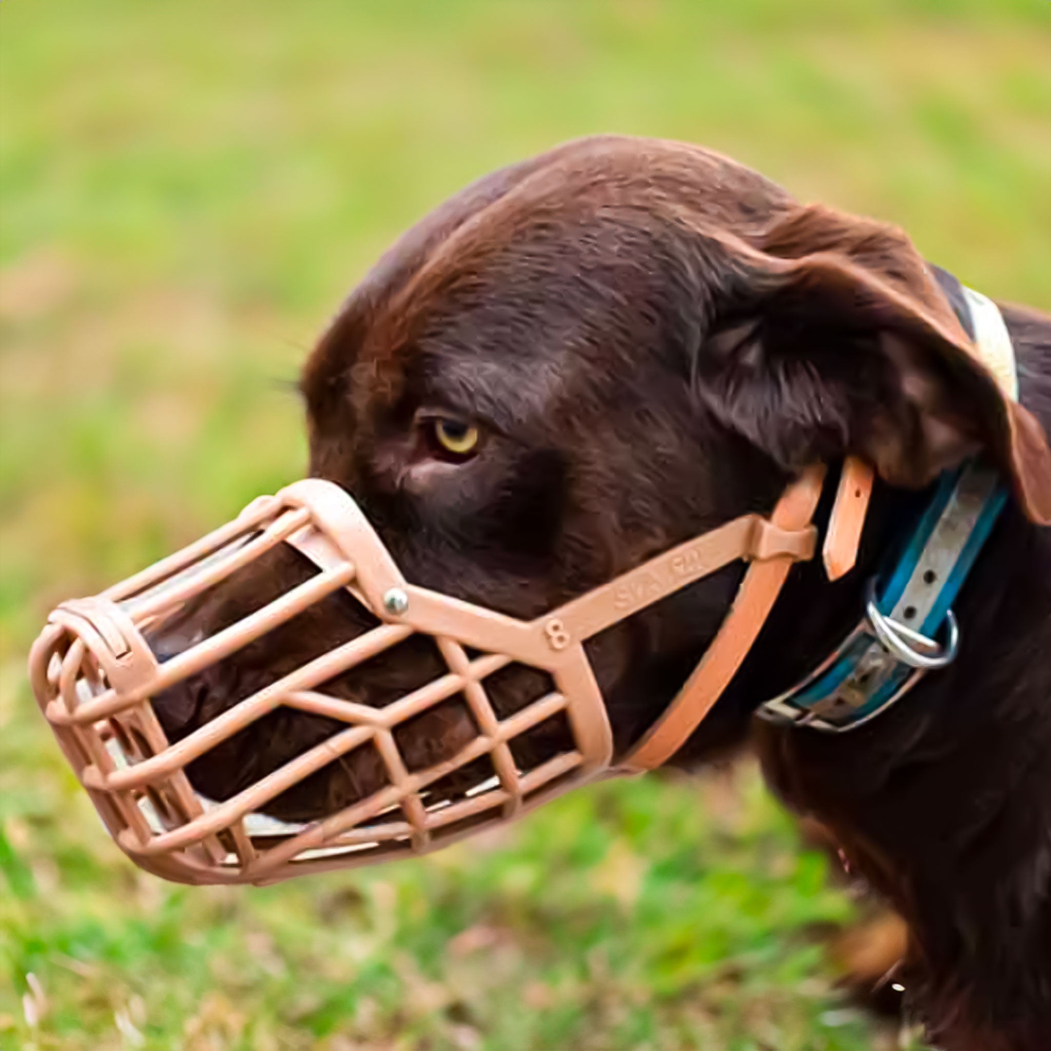 Italian Basket Dog Muzzle Outdoor Dog Supply