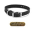 3/4" D Ring Latigo Leather Dog Collar