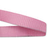 3/4" Lupine Pet Collar with Name Tag