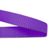 3/4" Lupine Pet Collar with Name Tag