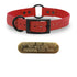 3/4" SoftFlex Beta Center Ring Dog Collar with Brass Name Plate